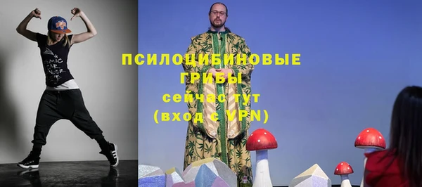 прущие грибы Ханты-Мансийск