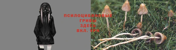 прущие грибы Ханты-Мансийск