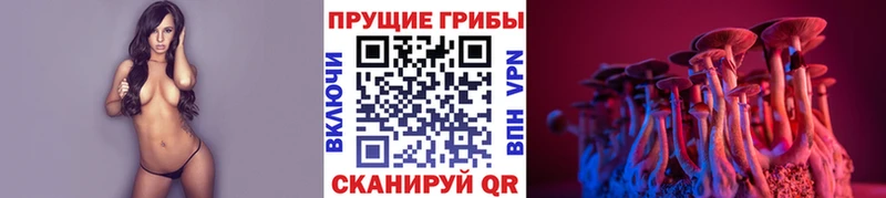Псилоцибиновые грибы Psilocybine cubensis  сайты даркнета клад  Ликино-Дулёво 